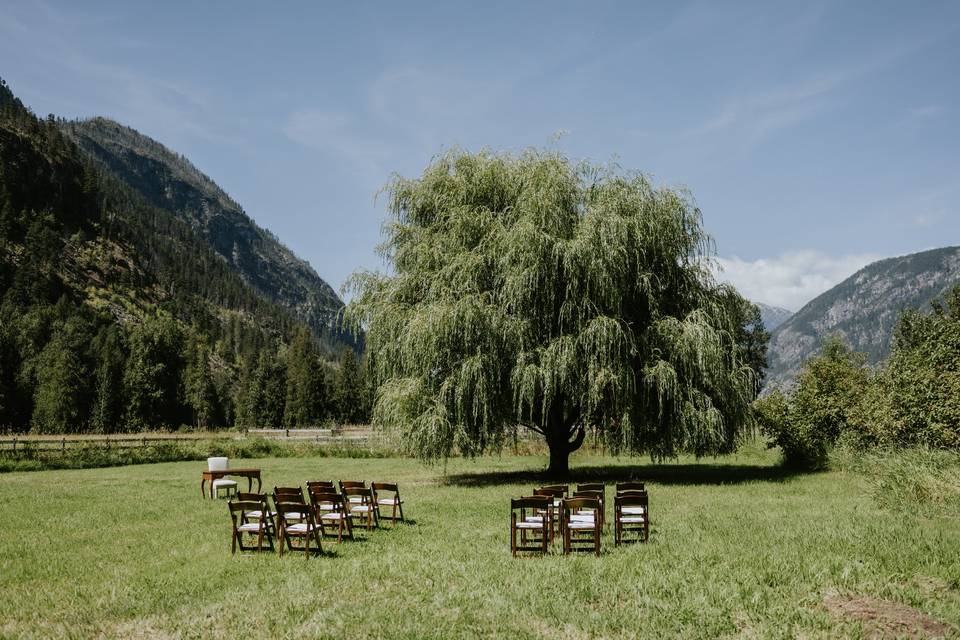 Weeping Willow ceremony set up