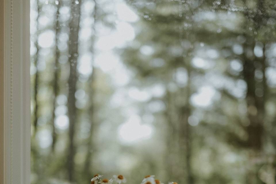 Intimate Backyard Elopement