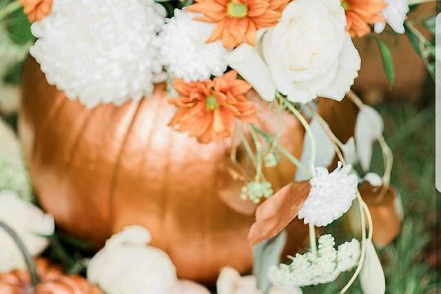 Pumpkin Arrangement