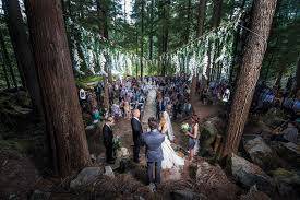 Forest wedding