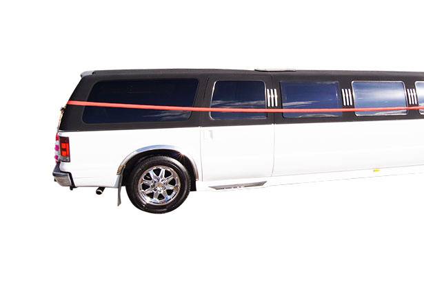 14 Pax Excursion Limo