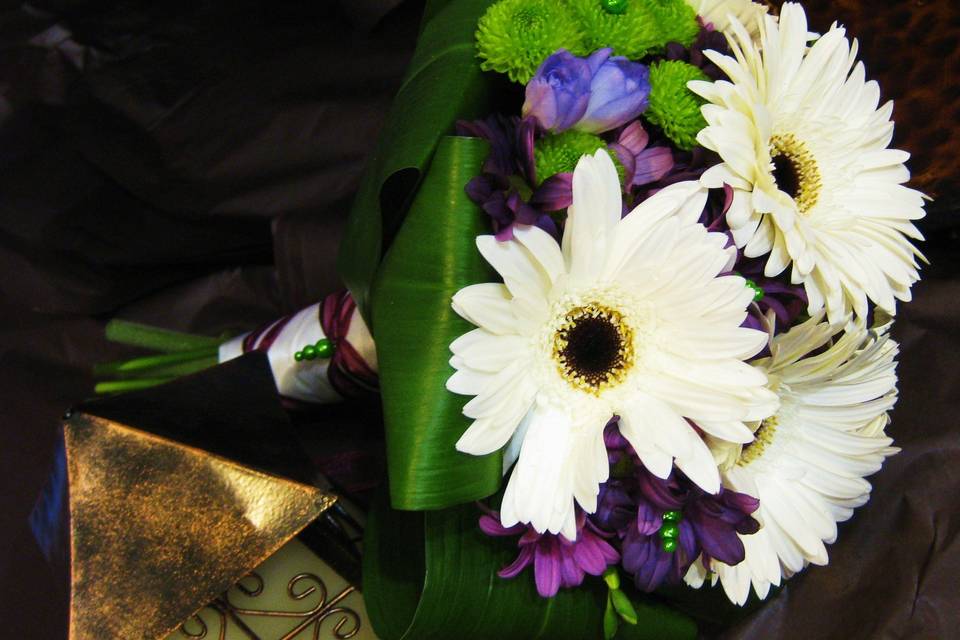 White gerberas