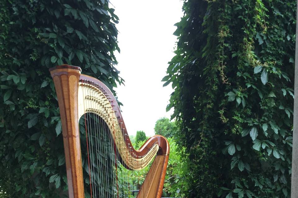 Hycroft harp