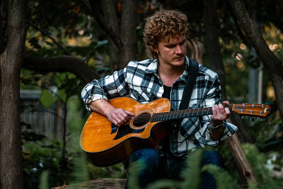 Live Performance