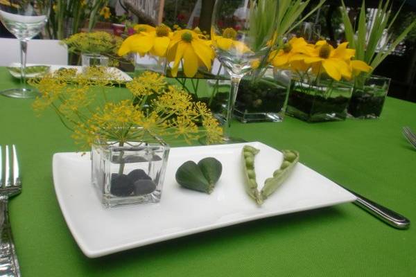 Green Chair Events