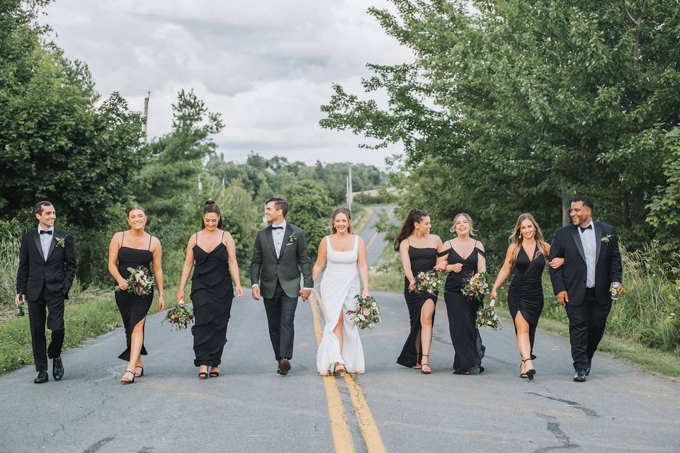 Wedding Party on county road.