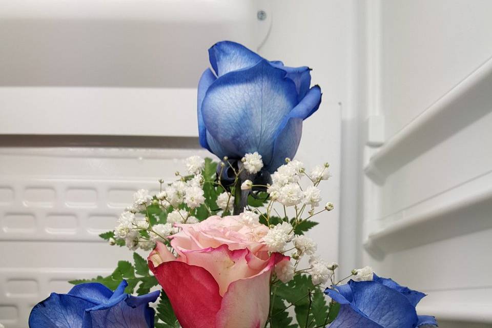 Blue Rose Flowers