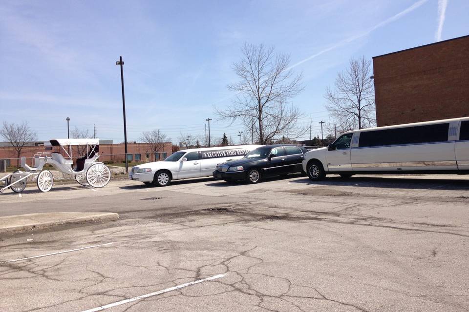 Executive Limo Rentals