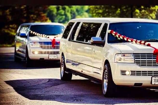 Executive Limo Rentals