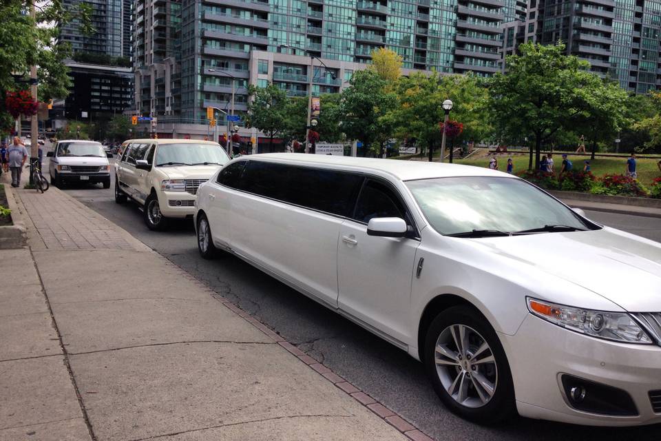 Executive Limo Rentals