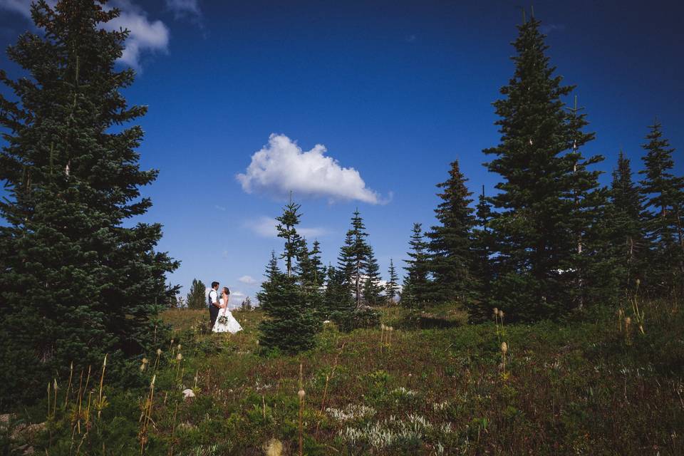 Alpine meadows