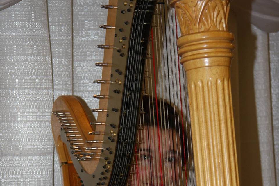 Adrienne Schipperus - Harpist