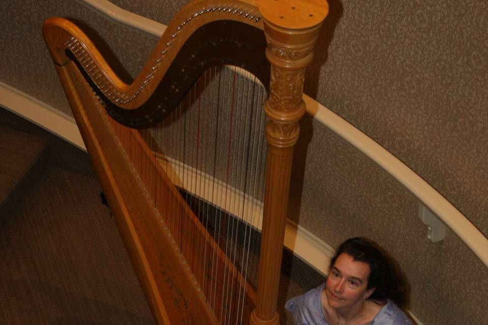 Adrienne Schipperus - Harpist