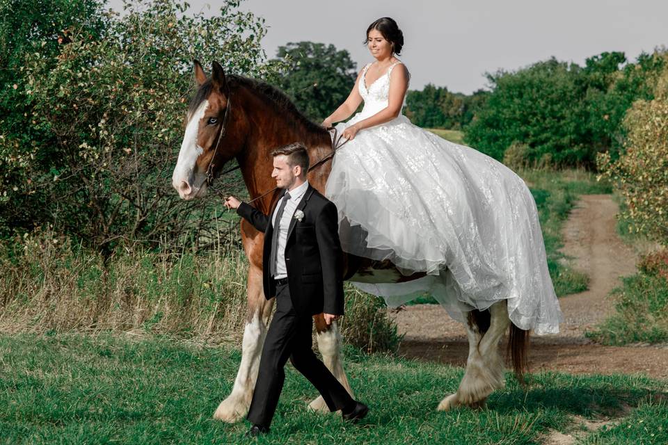 Barn Wedding