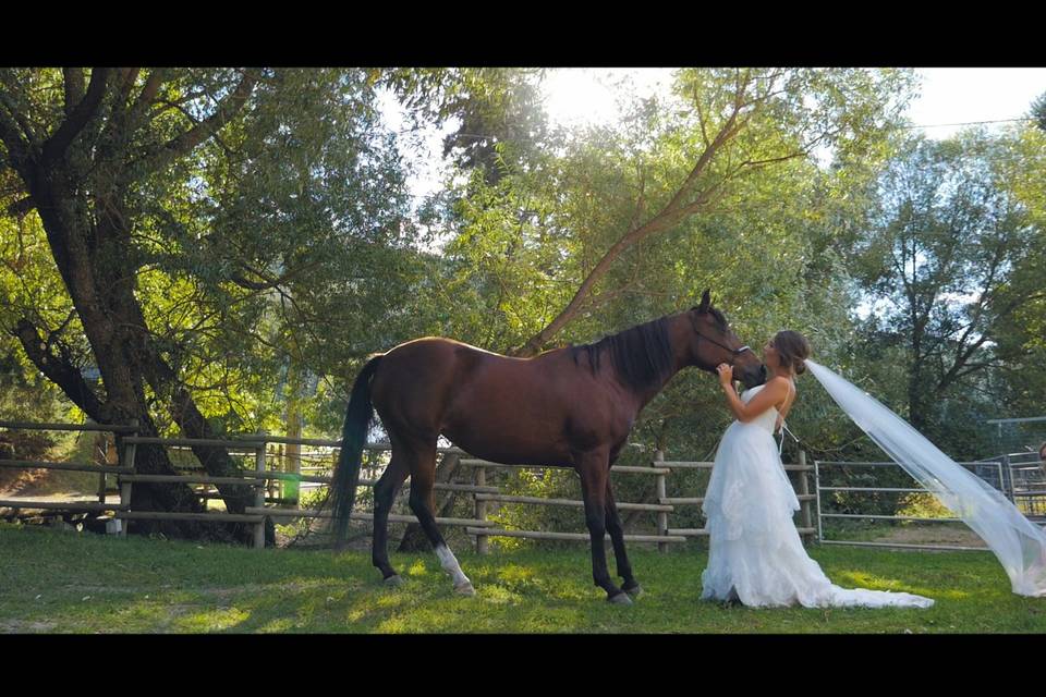 With Her Horse