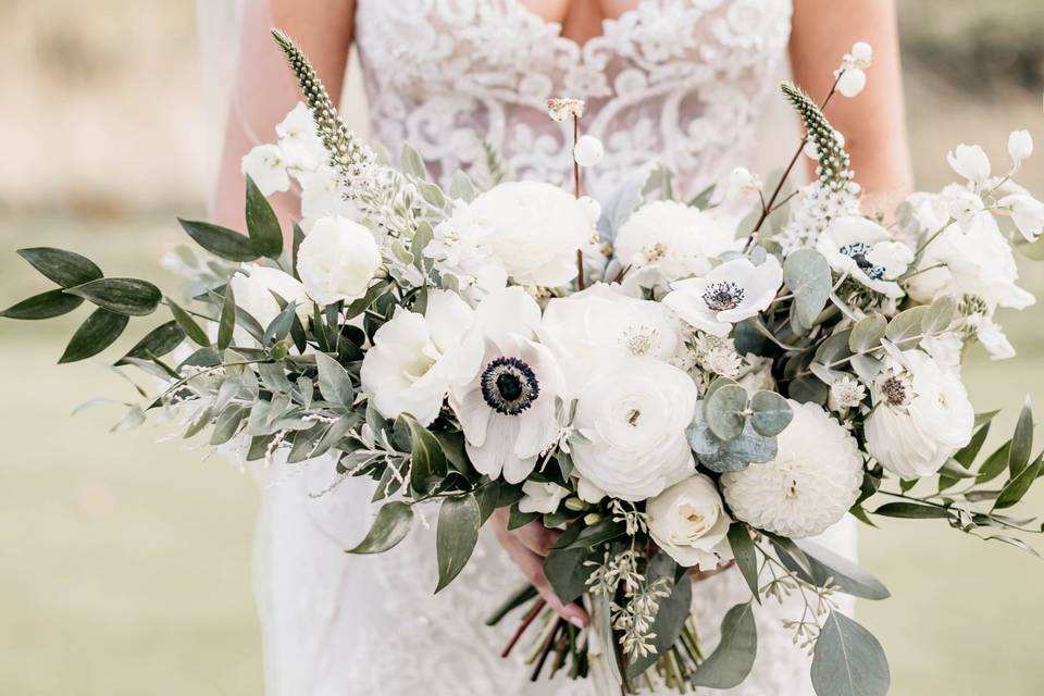 Eastern Hemlock Florals