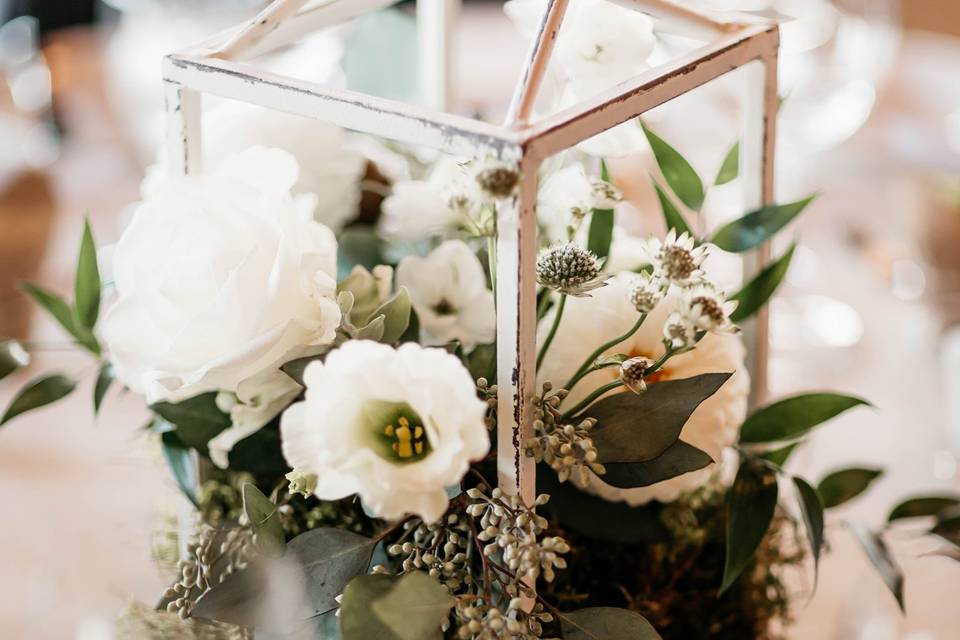 Eastern Hemlock Florals