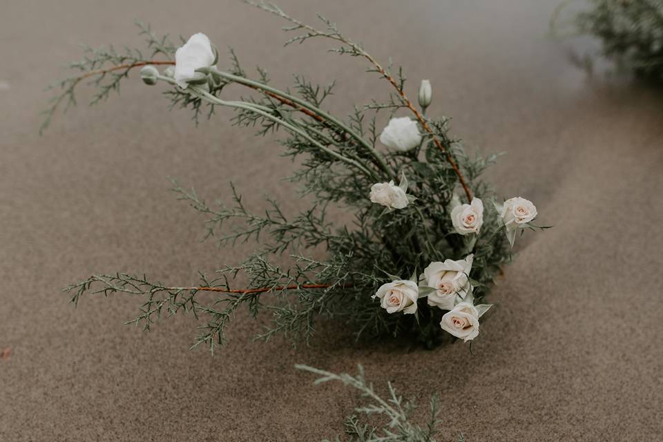 Eastern Hemlock Florals