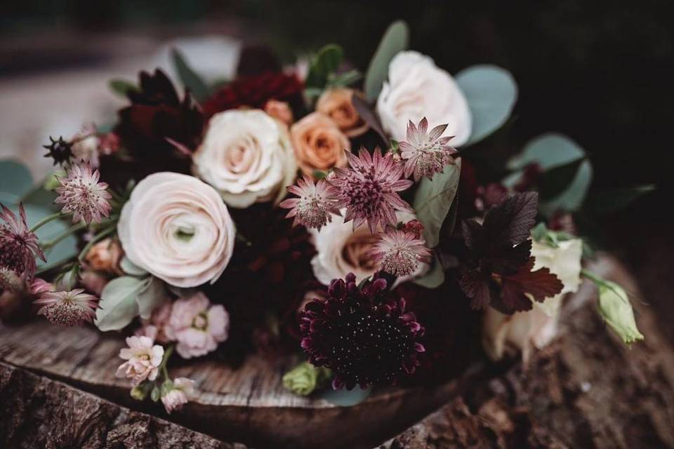 Eastern Hemlock Florals