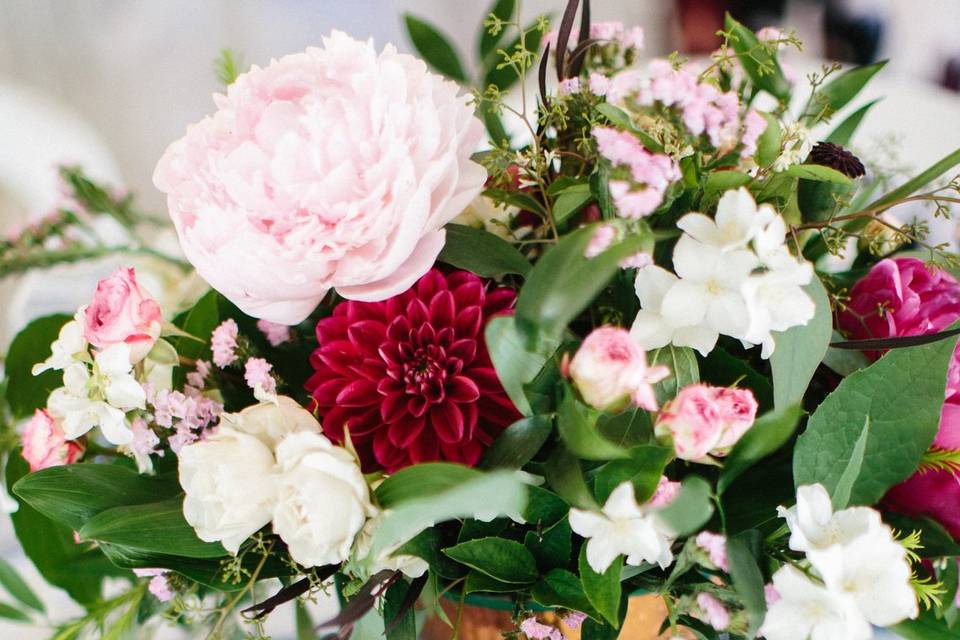 Eastern Hemlock Florals