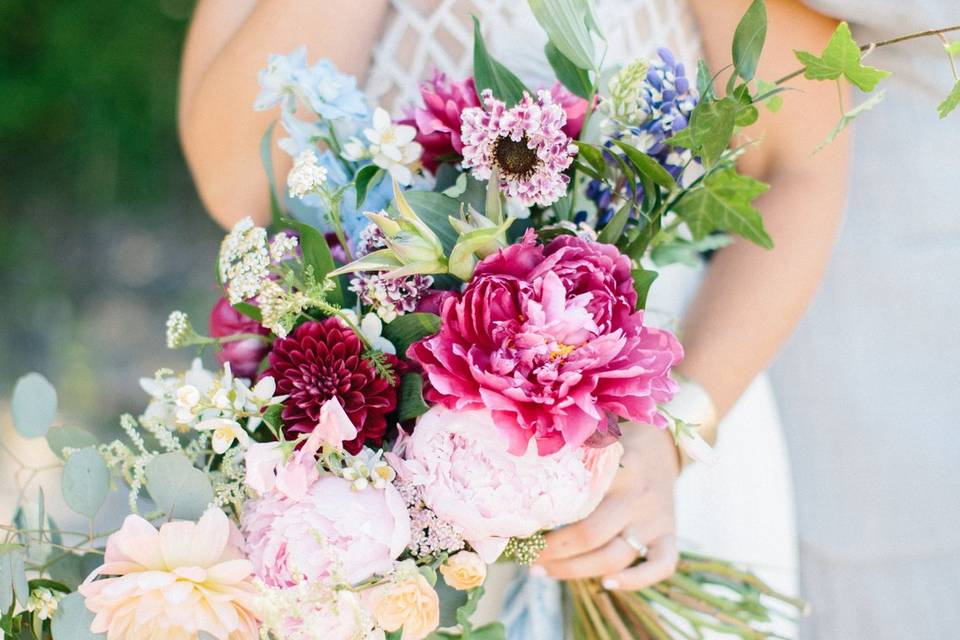 Eastern Hemlock Florals