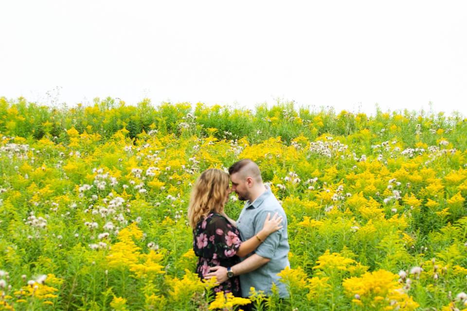 Among the wildflowers