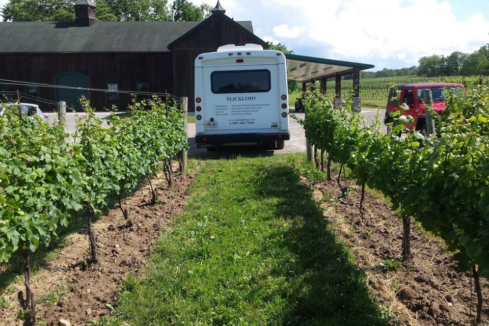 22 passenger party style bus