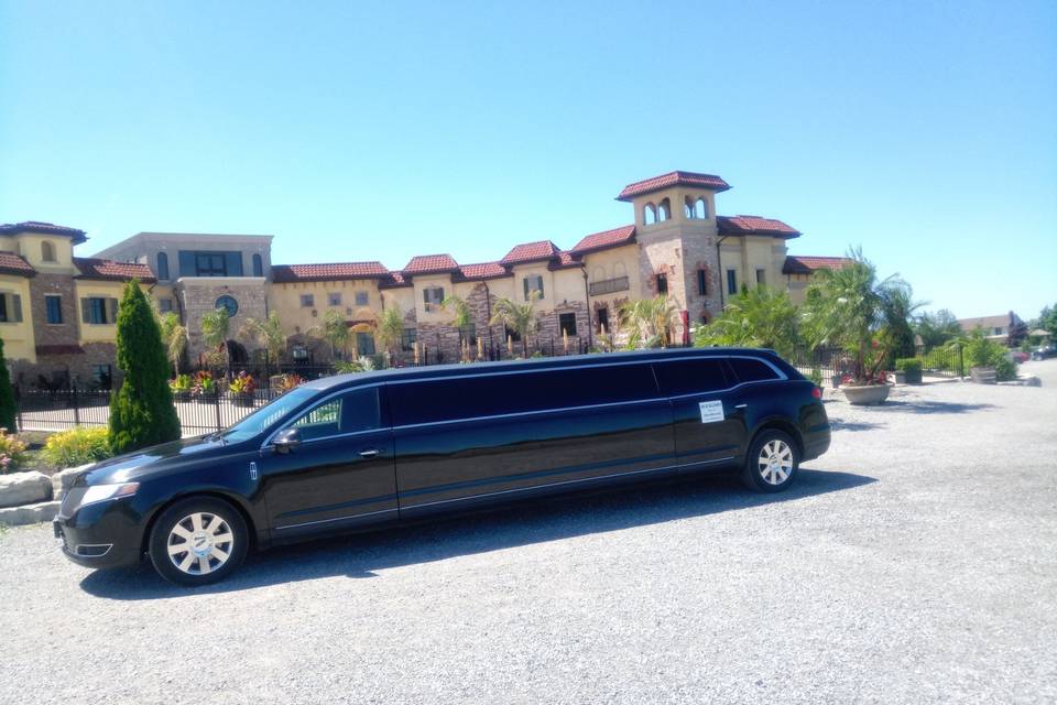 8 to 9 passenger limo