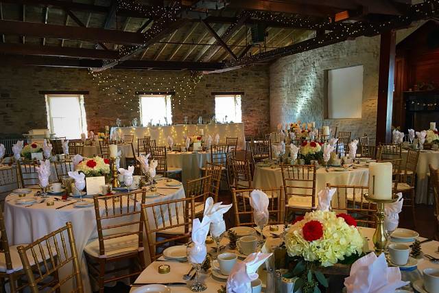 Hall set up- gold chivari