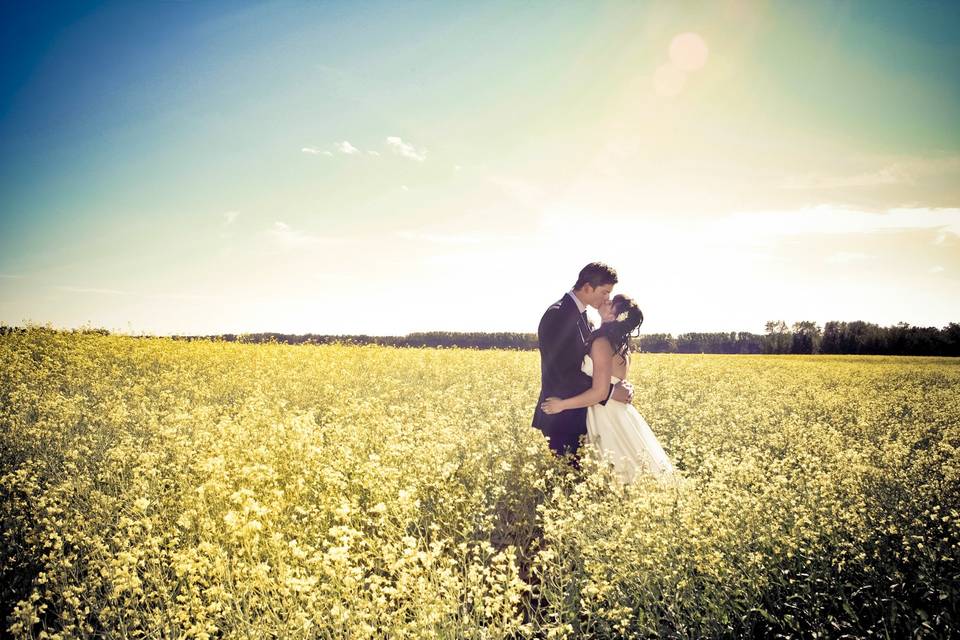 Canola couple