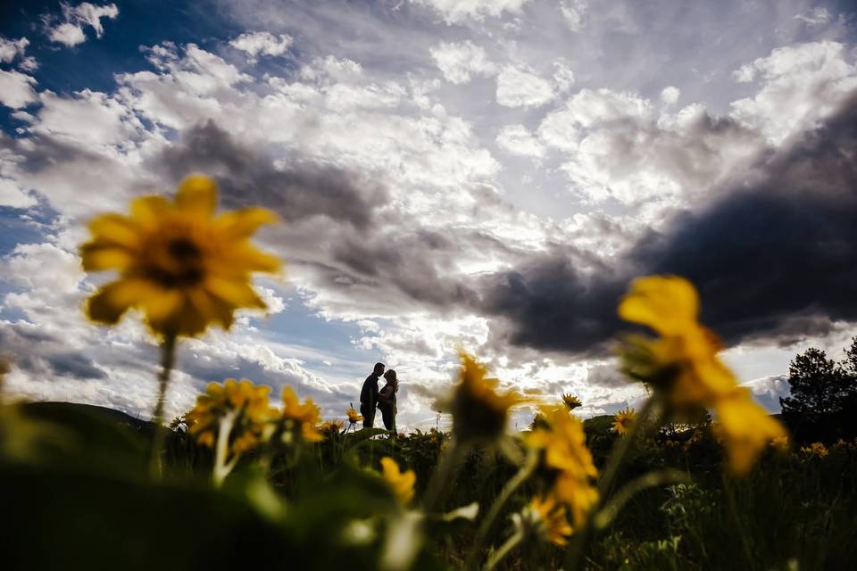 Spring love