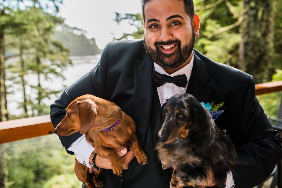 Wedding With Dogs