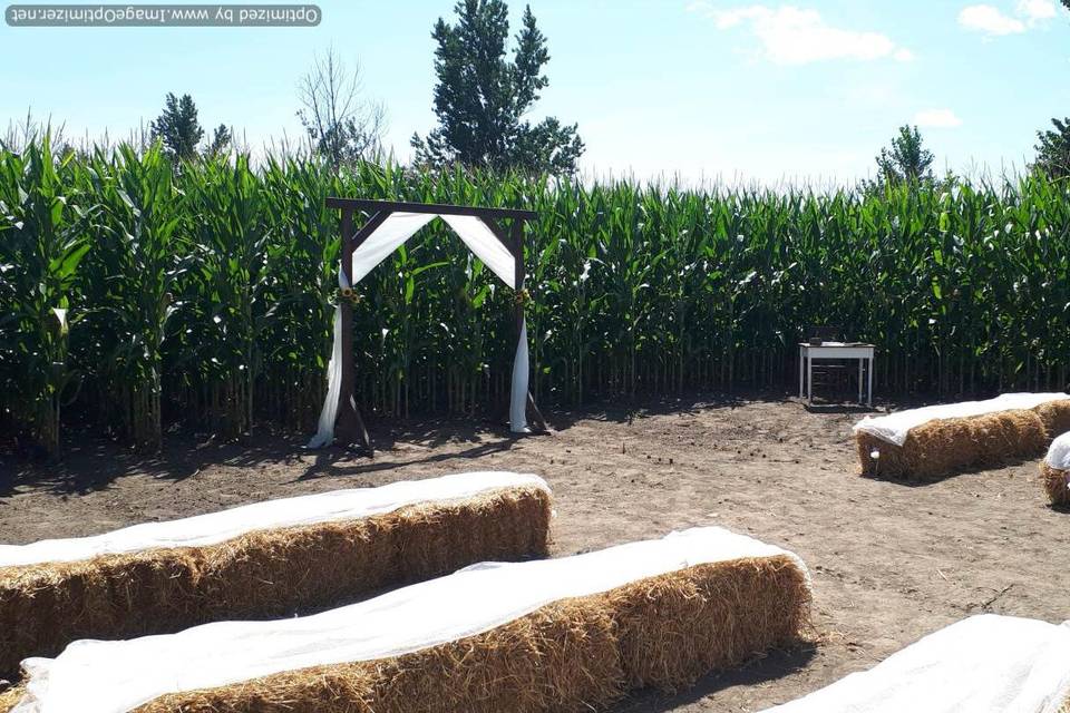 Samantha&Tyler-Cornfield Venue