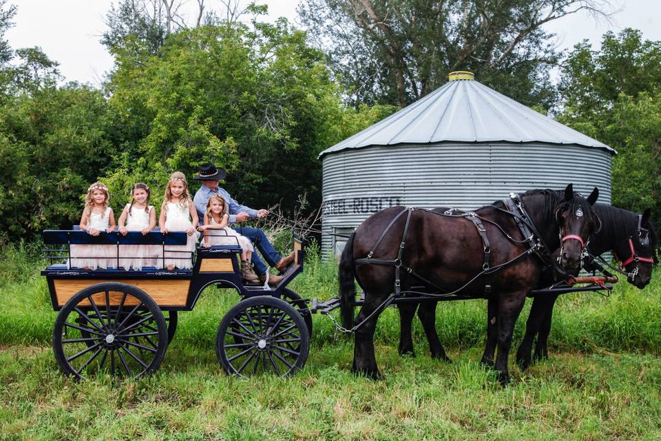 Alberta wedding