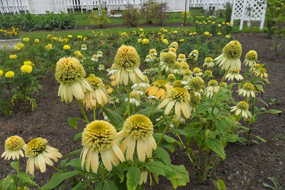 Quinte Botanical Gardens