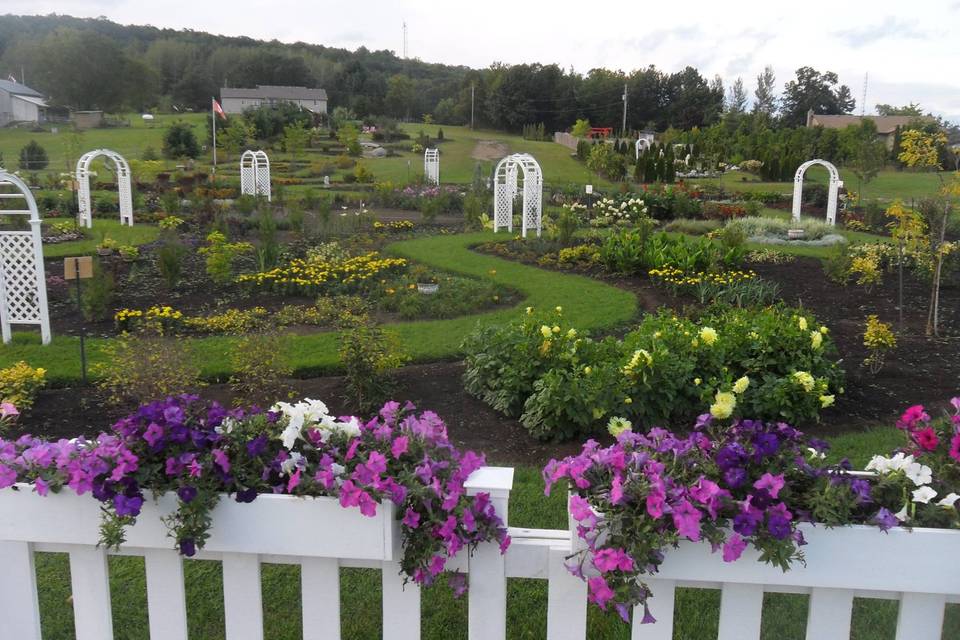 The Colour Wheel Garden