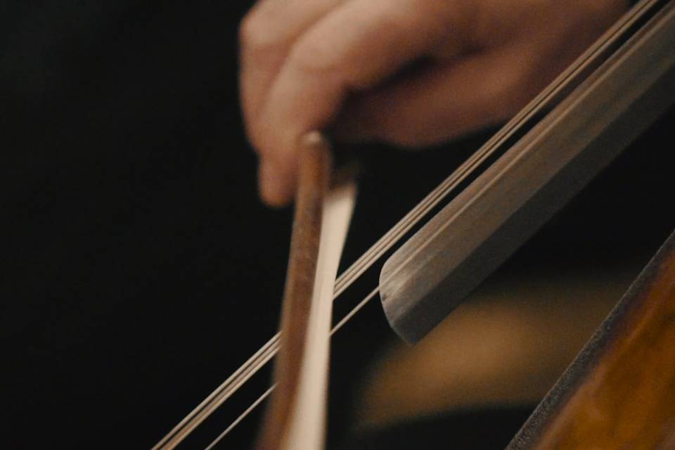 Strings