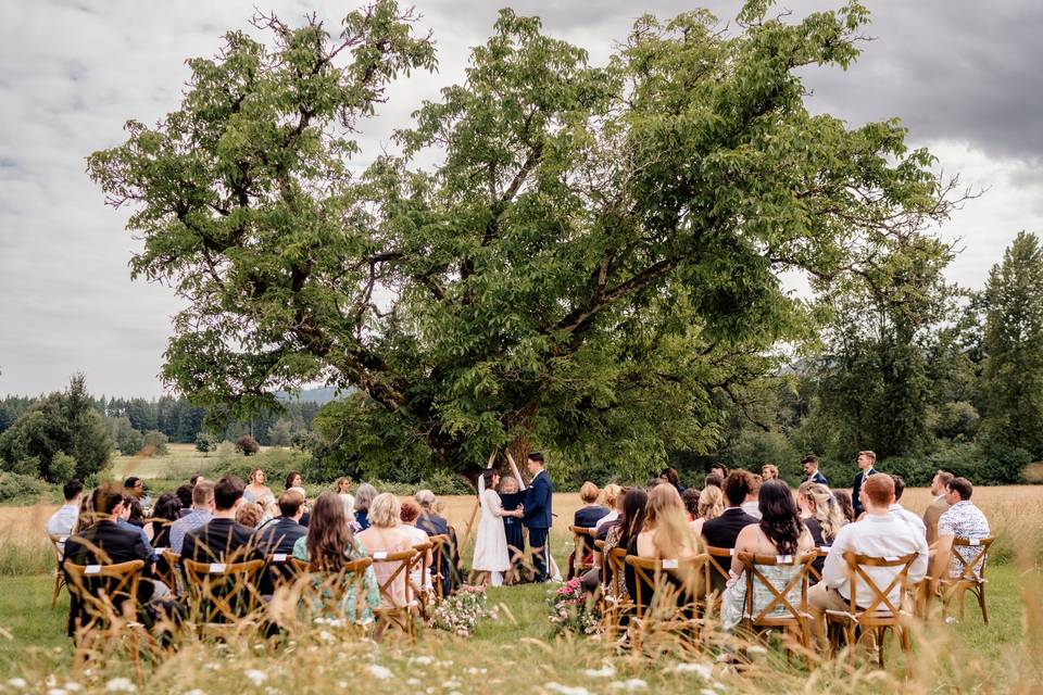 Keating Farm field wedding