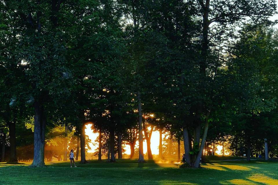 Sunset on the golf course