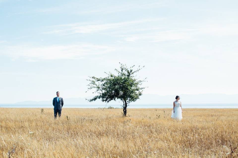 The Cannons Wedding Photography