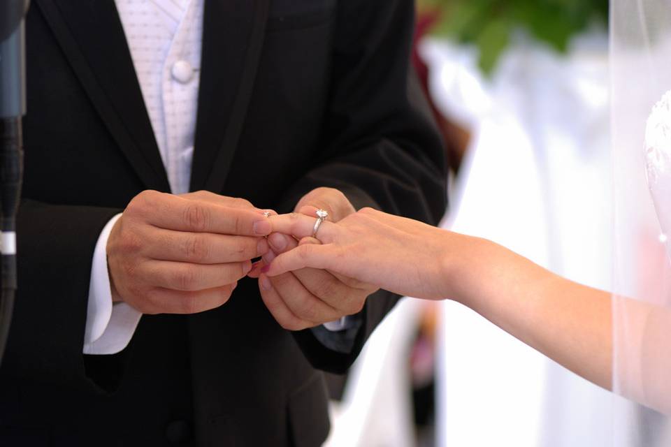 Calgary wedding officiant