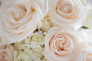 Megan Pesant Photography