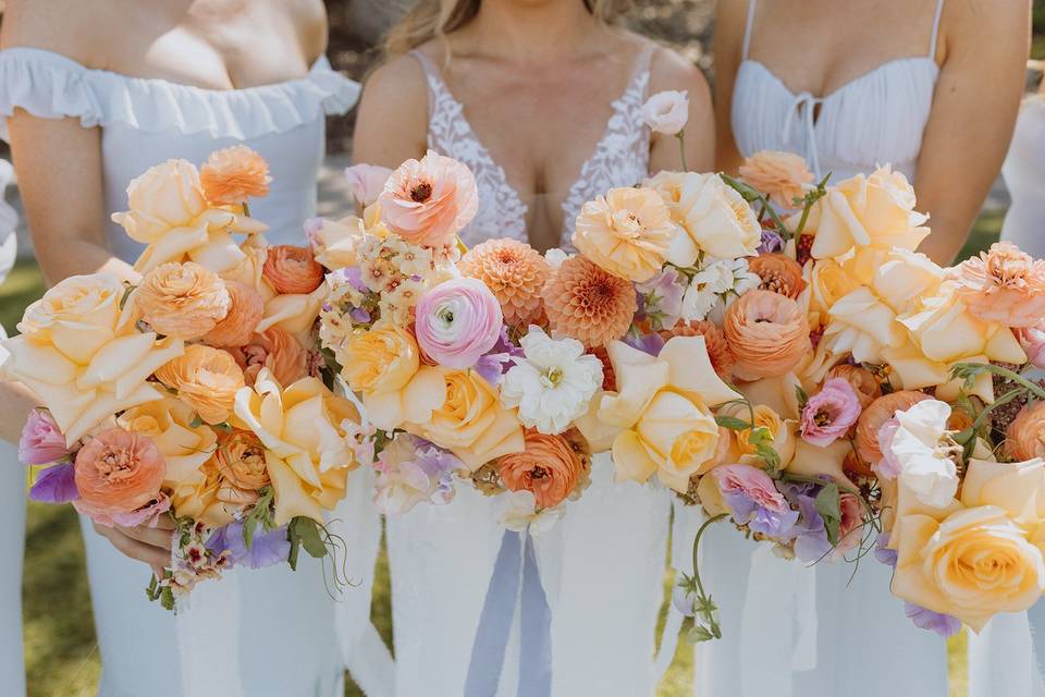 Alyse Lakeman Photography