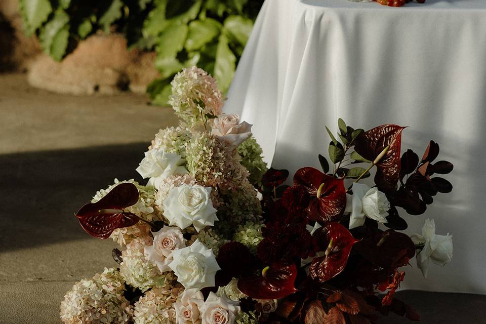 Shari & Mike Photography
