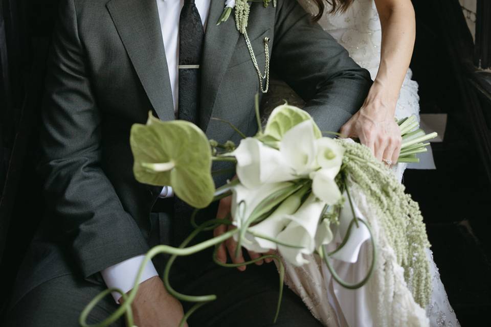 Rebecca Frank Photography