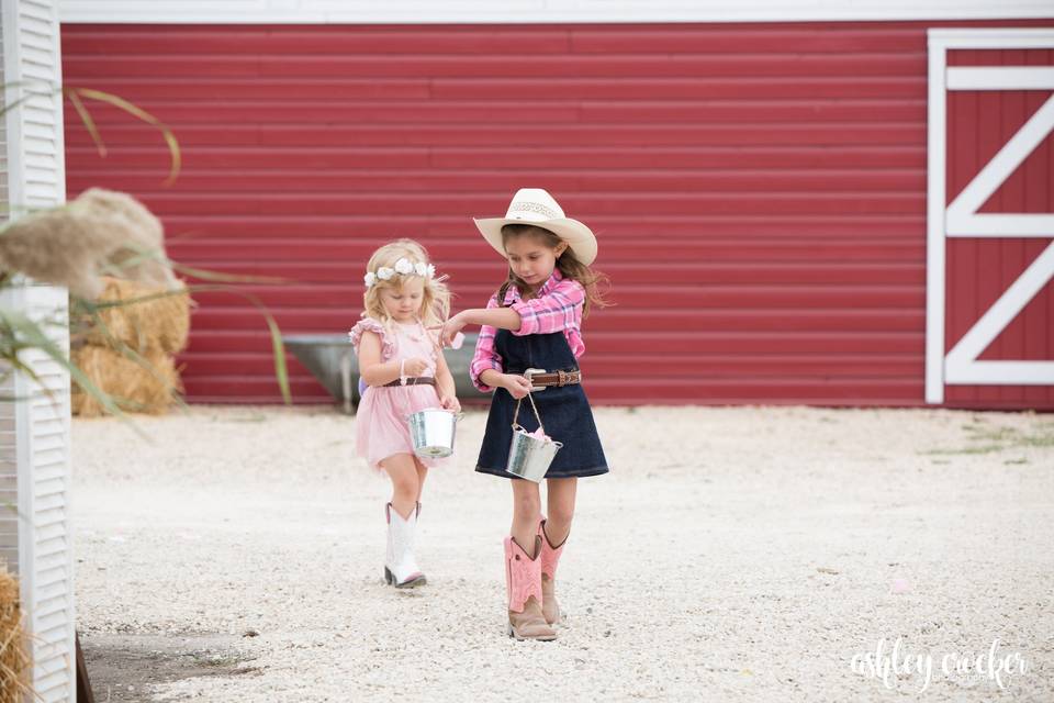 Outside Commons Barn