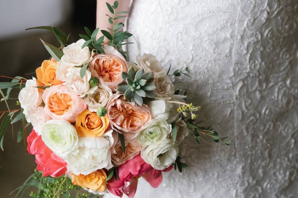 Coral peonies