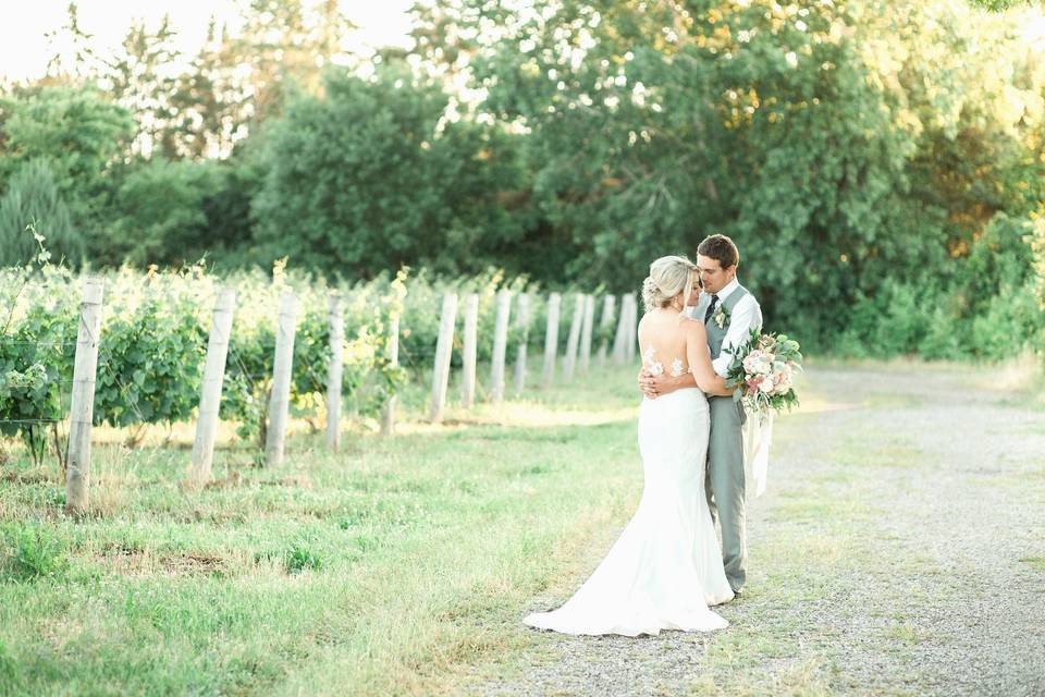 Vineyard Wedding