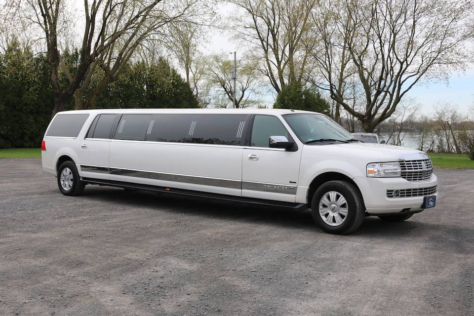 Ambiance Limo Navigator stretc