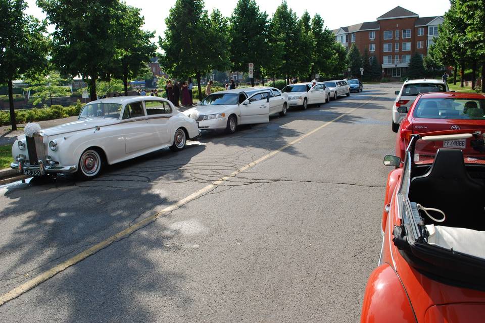 Ambiance Limo wedding 2